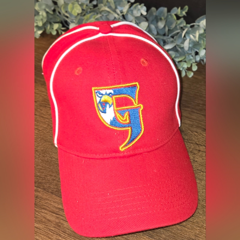 Grand Rapids Griffins Baseball cap